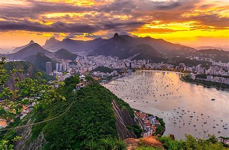 Harbour of Rio de Janeiro .